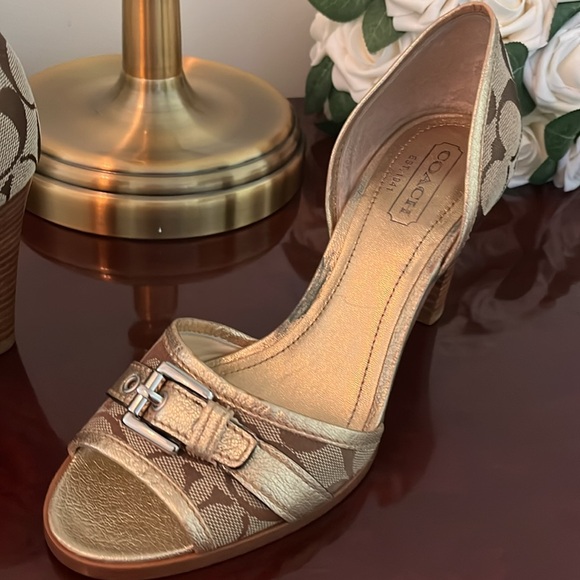 Heel. - Picture 6 of 7